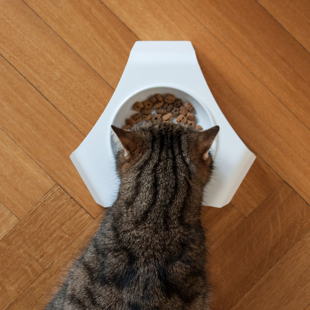 Cat food bowl &amp; place mat set