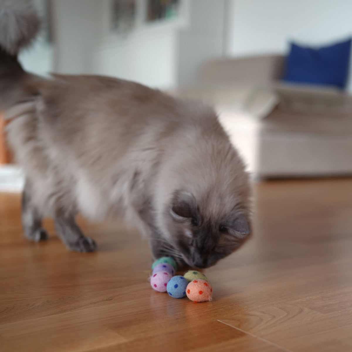 RAINBOW EGGS Vilten ballen