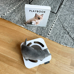 Katze betrachtet das LucyBalu Playbook, ein Katzen Kratzspielzeug im Table Book Look mit integrierter Kratzfläche und Ball im Inneren.