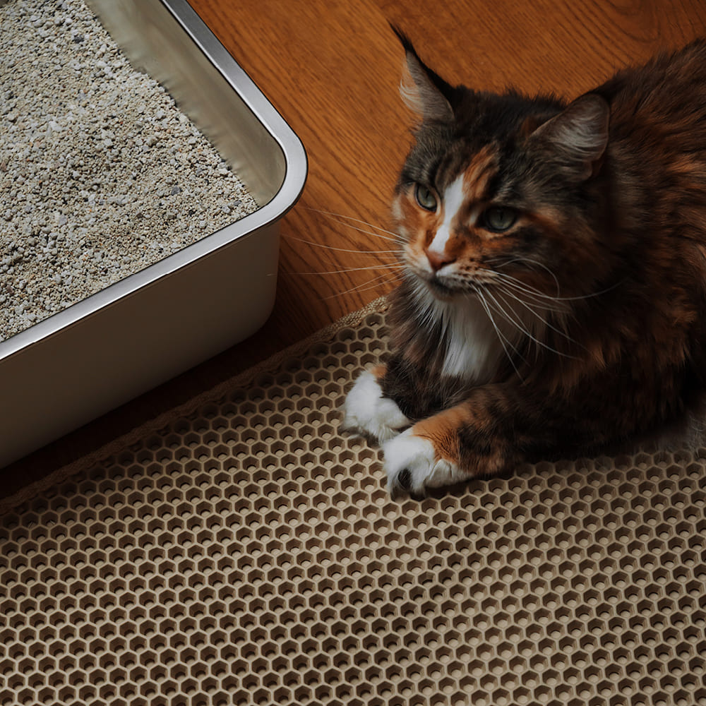 katze auf katzen streumatte loomat