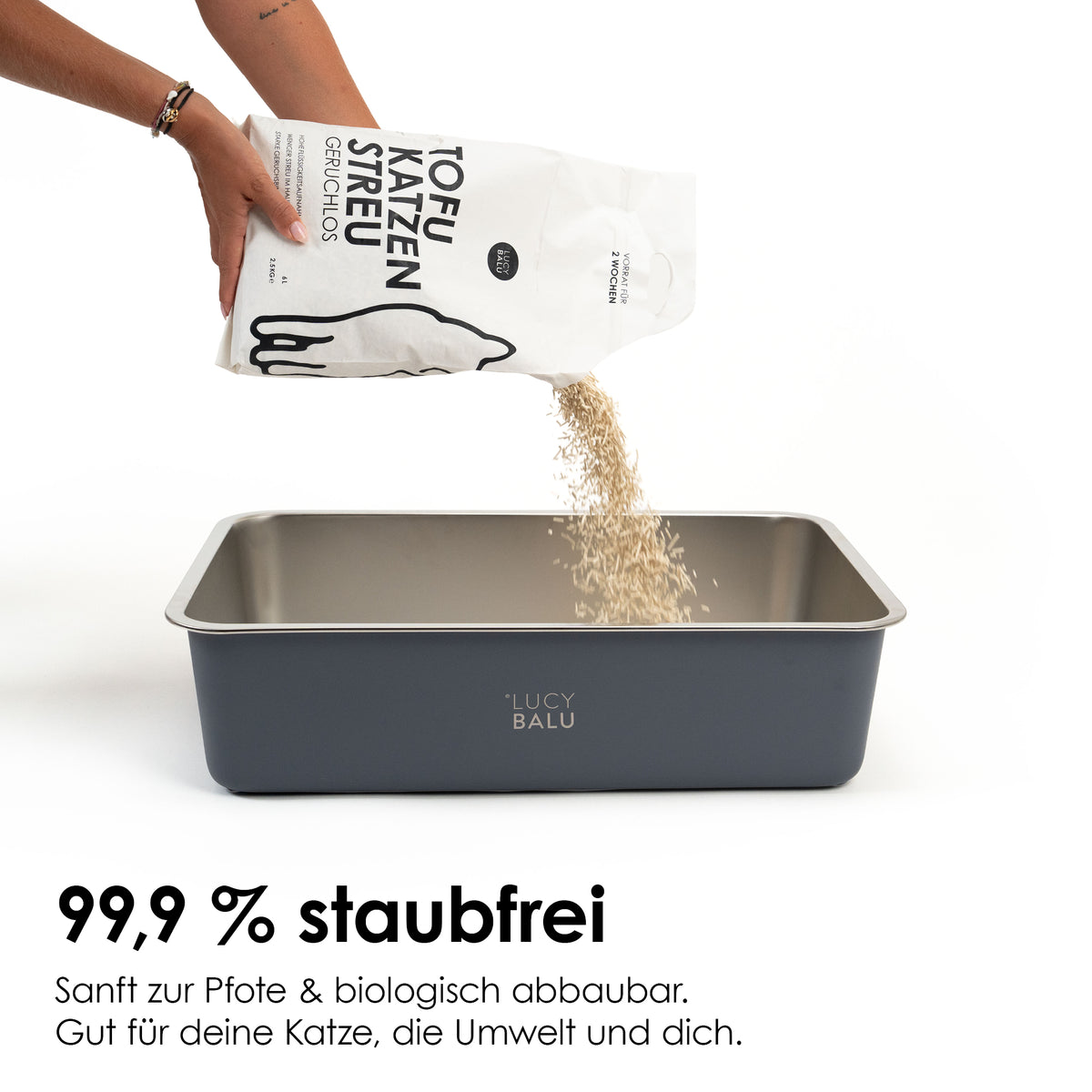 Tofu Katzenstreu geruchlos wird in eine Toilette gefüllt - staubfrei