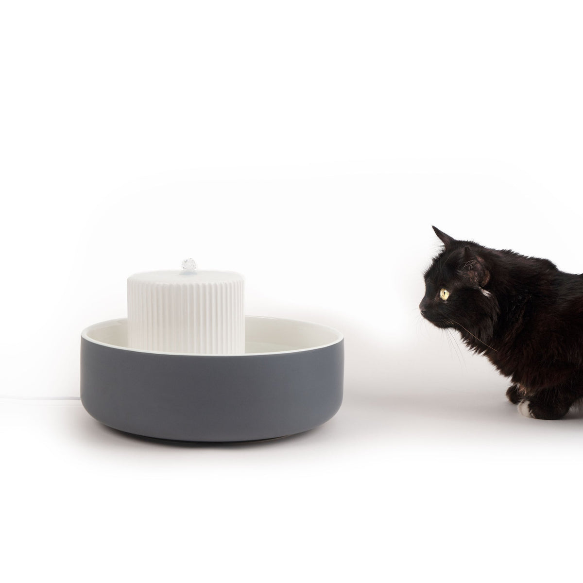 B-Stock: TREVI cat water fountain