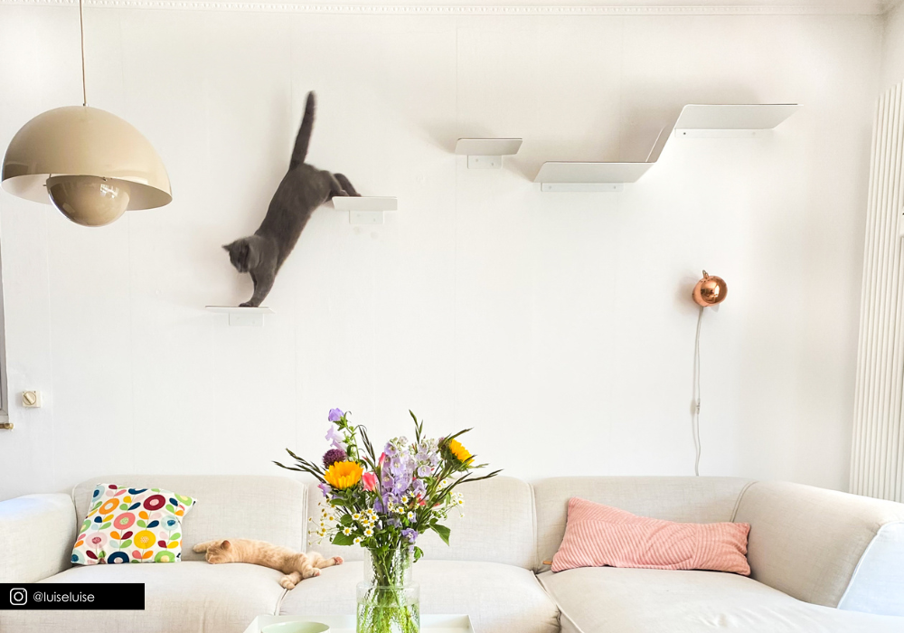 LucyBalu Katzenwand mit Wandstufen, Liegefläche und Kratzelement im Wohnraum