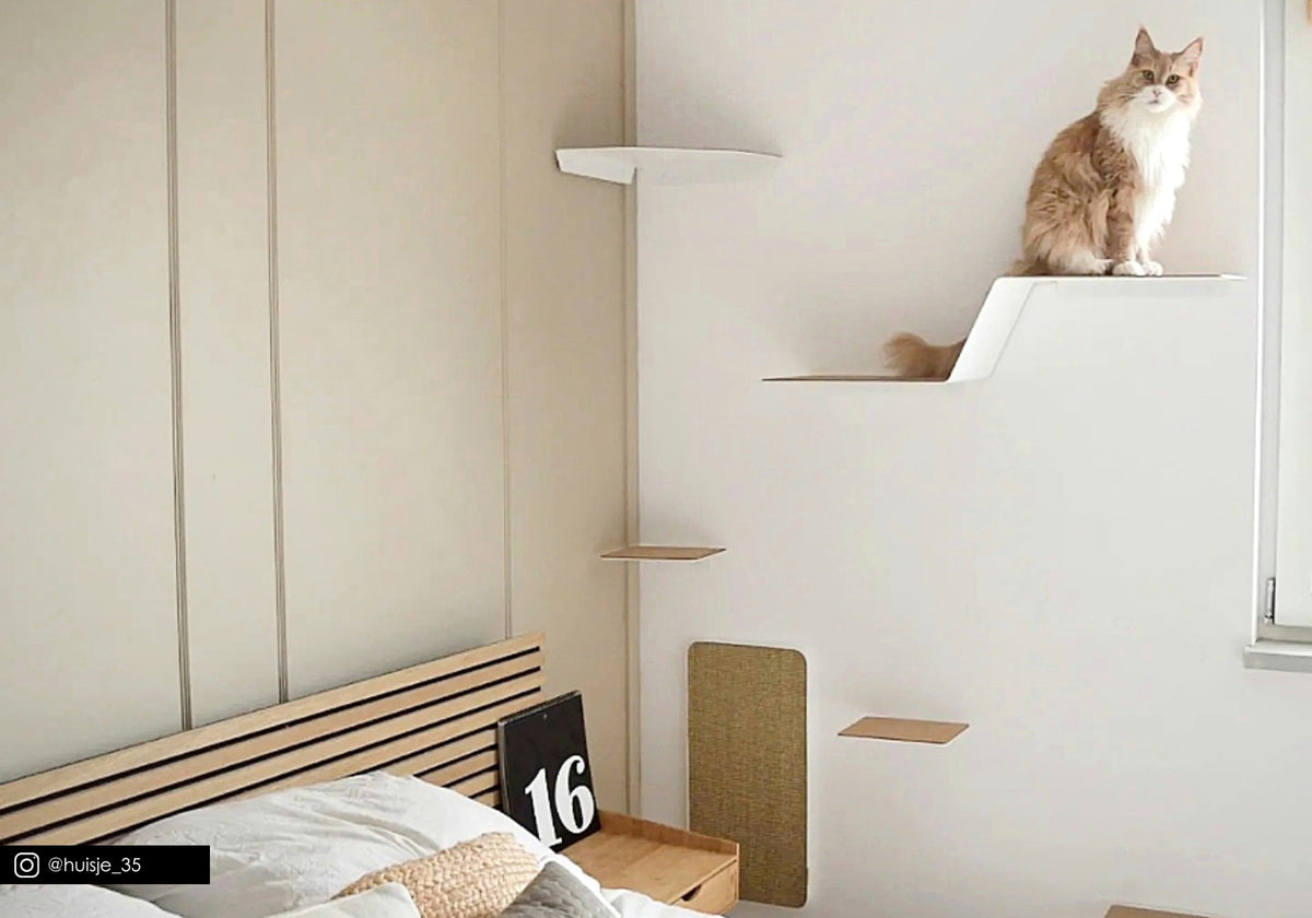 LucyBalu Katzenwand-Eckliege in Weiß mit Katze im Schlafzimmer