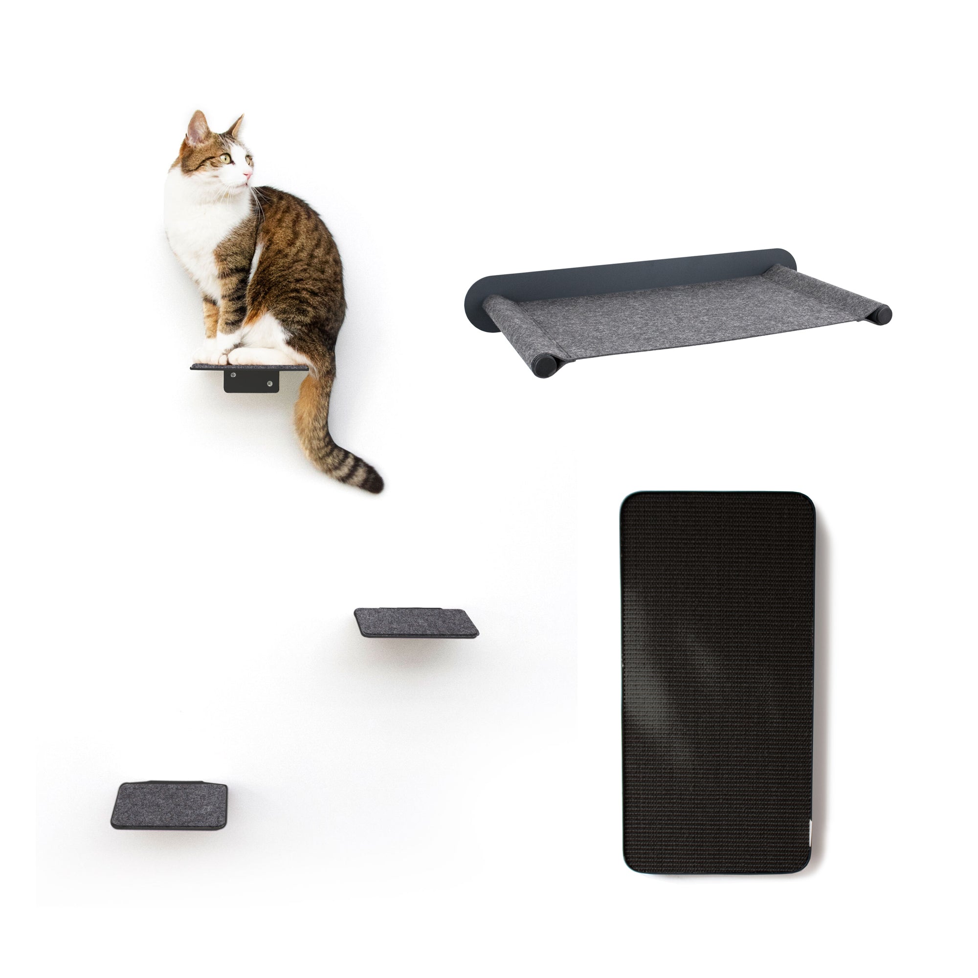 Cat wall set anthracite - CATWALK - LucyBalu