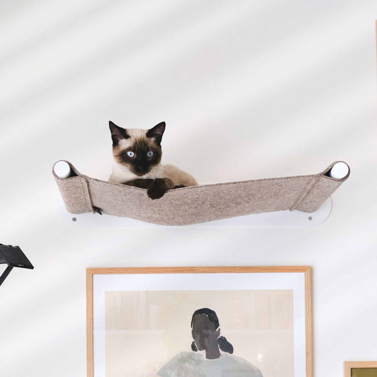SWING cat hammock