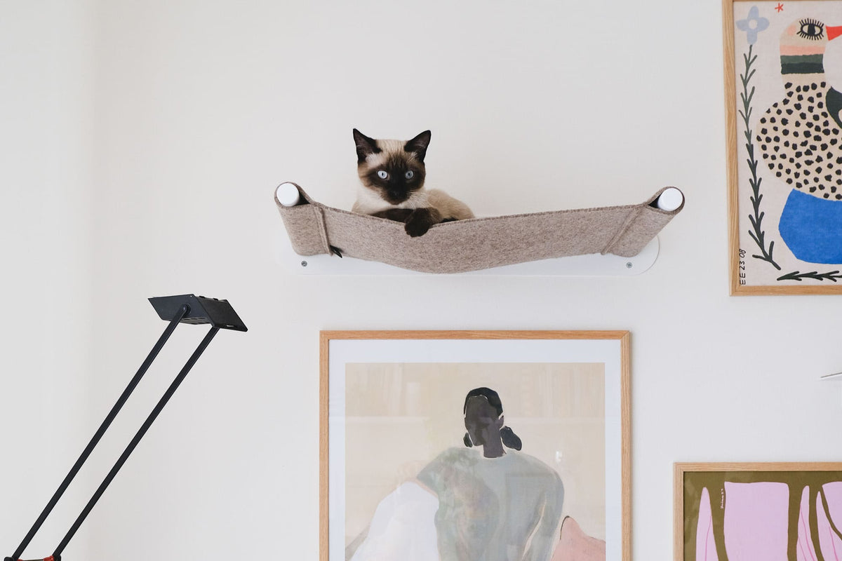 Siamkatze sitzt in einer LucyBalu Wand-Hängematte aus hellbraunem Filz mit weißer Halterung, darunter gerahmte Kunstdrucke an einer hellen Wand und eine schwarze Stehlampe.
