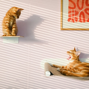 Set per parete per gatti bianco - SCRATCHPAD