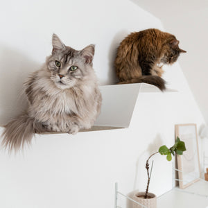 WAVE Plateforme murale XXL