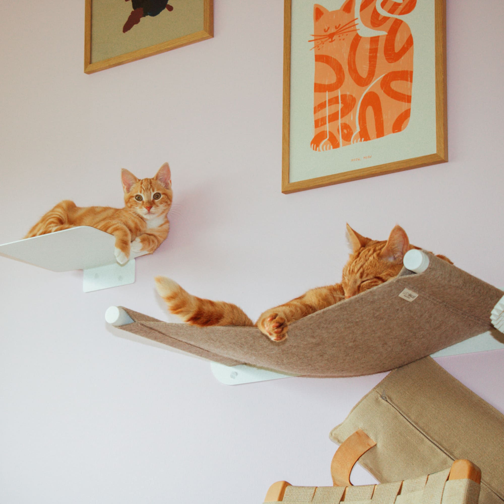 Cat wall set white - CATWALK