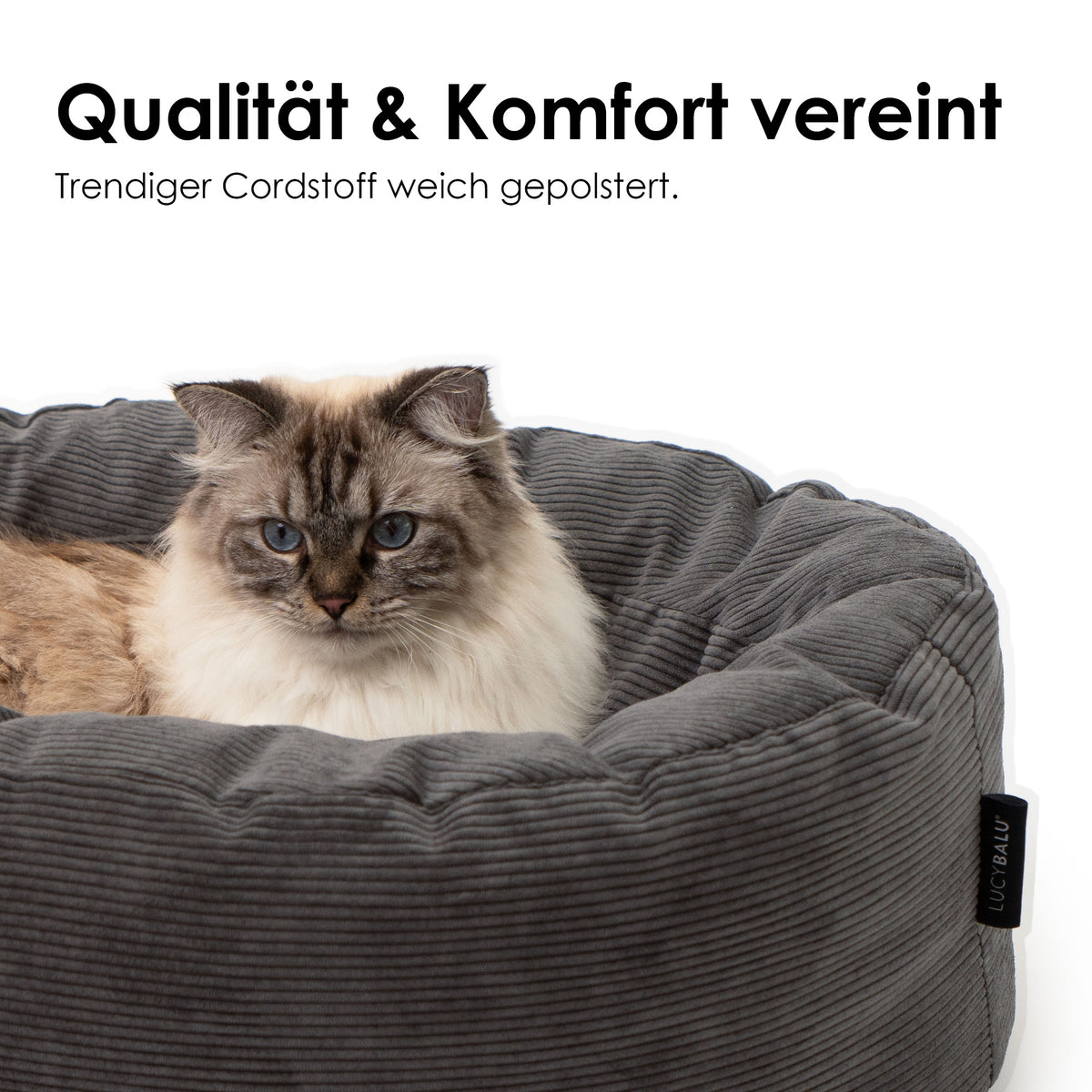 DINGHY Kattenbed