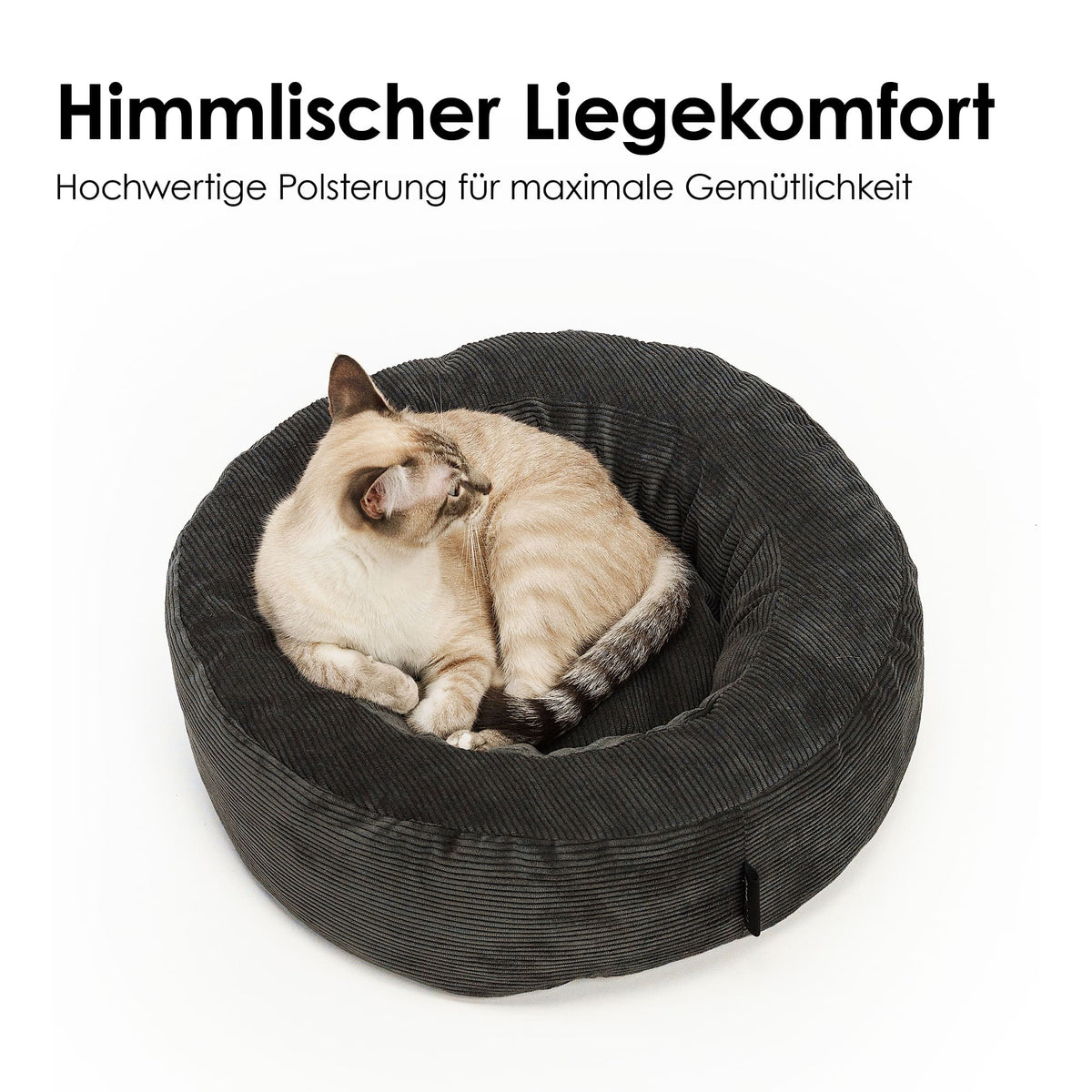 Katze ruht im anthrazitfarbenen Cordbett mit Text „Himmlischer Liegekomfort – Hochwertige Polsterung für maximale Gemütlichkeit