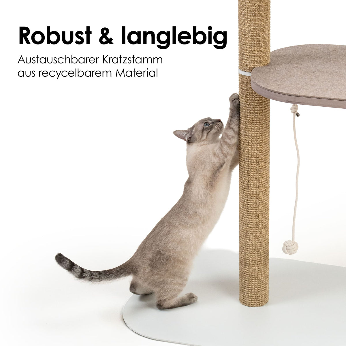 Kratzbaum mit austauschbarem Kratzstamm aus recycelbarem Material – Katze nutzt robusten Sisalstamm zum Kratzen.