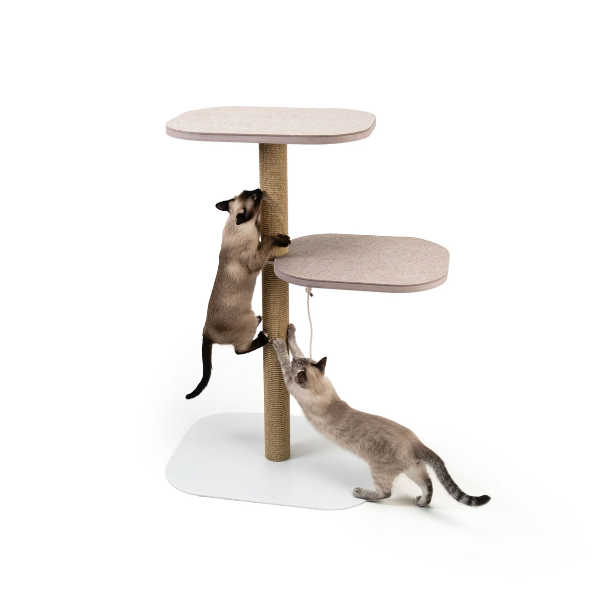 Zwei Katzen auf stabilem, modernem Kratzbaum mit Sisal-Kratzstamm und zwei großen Liegeflächen.