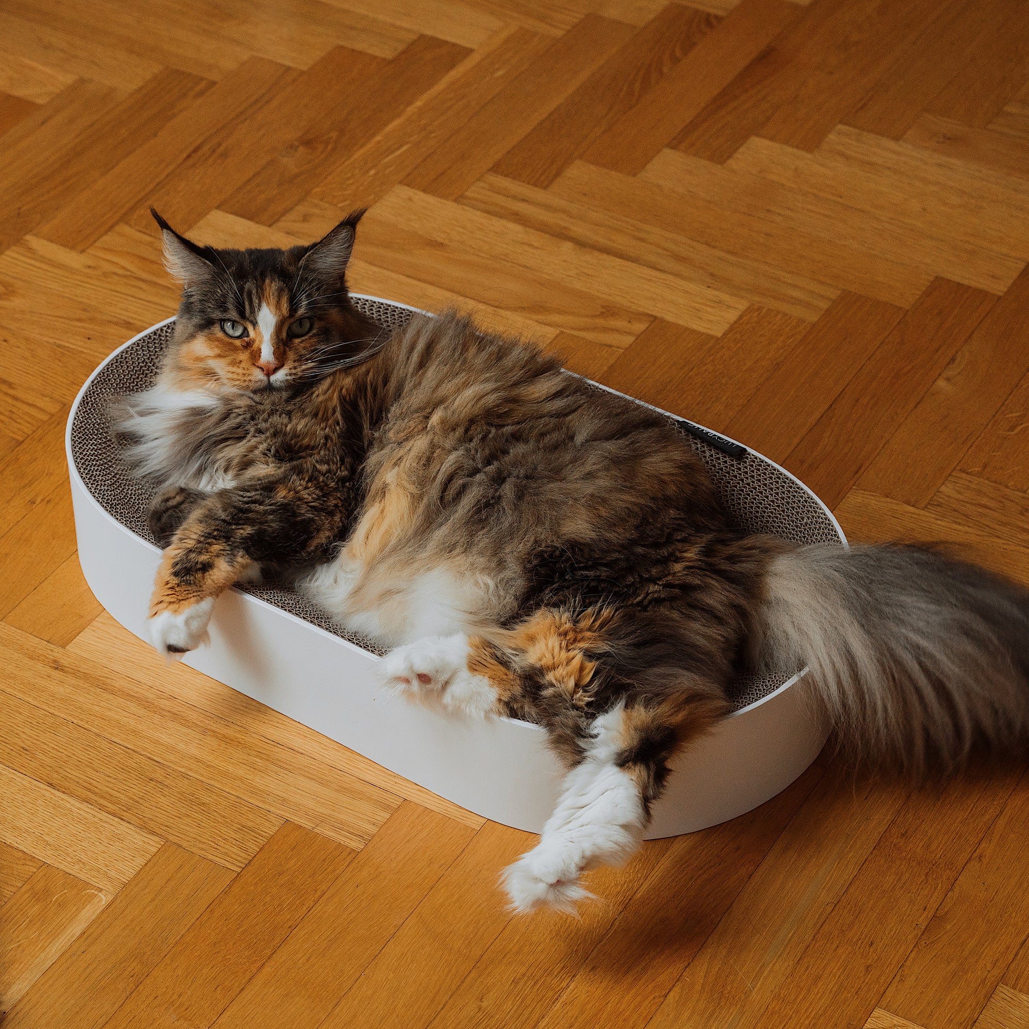 kratzbrett-katzenbett-