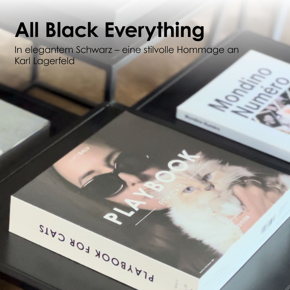 Katzen-Kratzspielzeug im eleganten Schwarz auf einem Coffeetable – stilvolle Hommage an Karl Lagerfeld.