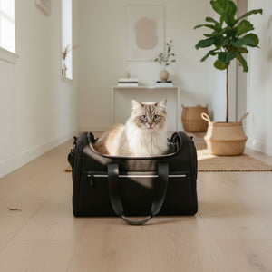 CHECK-IN Sac de transport