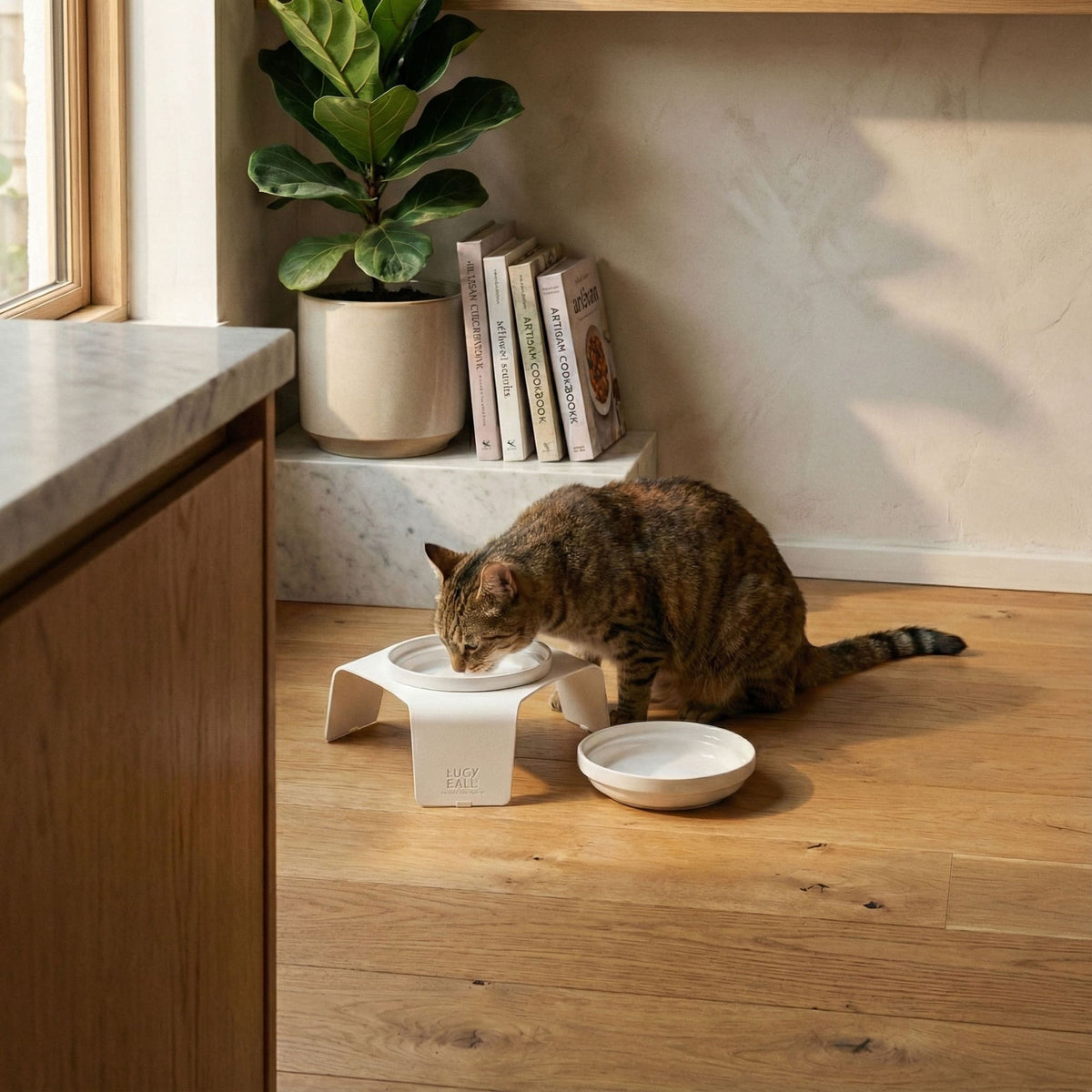LucyBalu Ergonomische verhoogde kattenbak, verhoogde voerbak voor katten, ergonomische voerbak en waterbak voor katten, drinkbak kat, kattenvoerstation met 1 voerbak, wit LucyBalu Ergonomische verhoogde kattenbak, verhoogde voerbak voor katten, ergonomische voerbak en waterbak voor katten, drinkbak kat, kattenvoerstation met 1 voerbak, wit