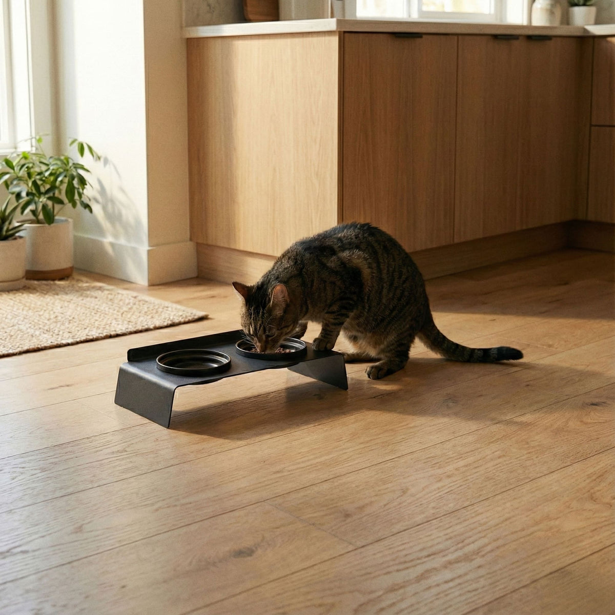 DINE Voederstation voor katten