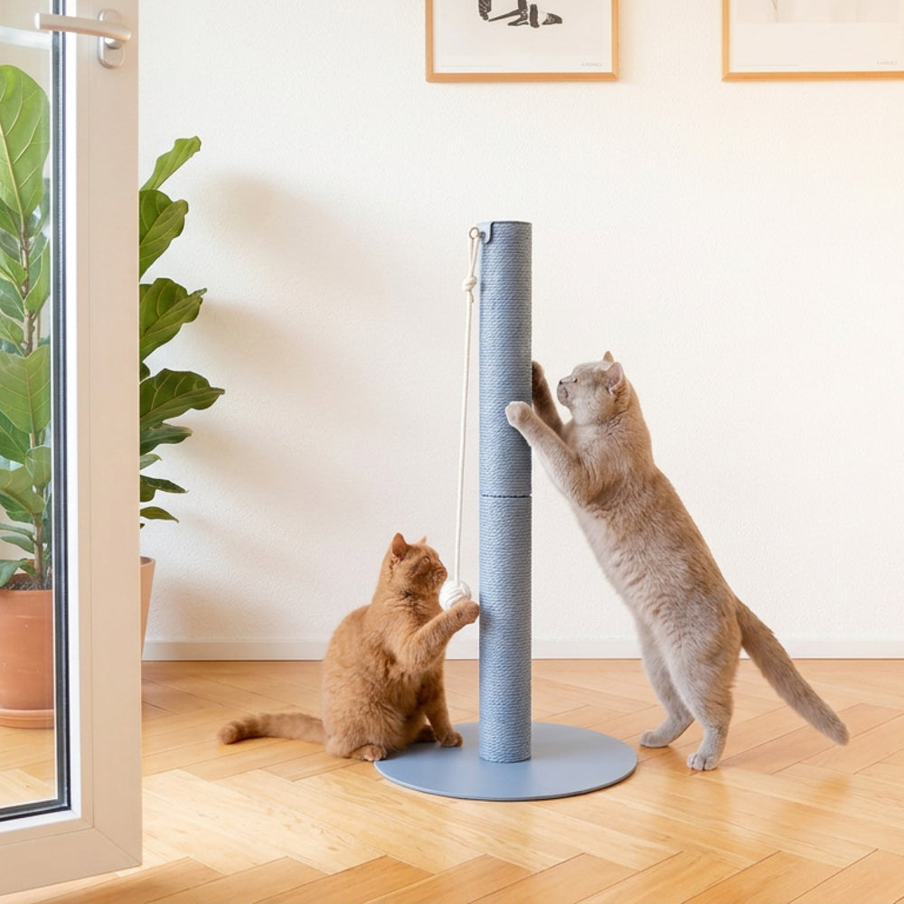 Zwei Katzen spielen an der PAPERPOLE Kratzsäule in Blau – gemütliches Ambiente mit Parkettboden.