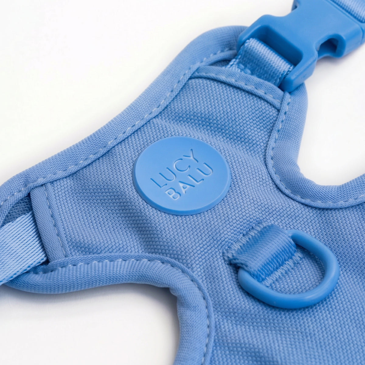LucyBalu Geschirr Katze Blau Detail
