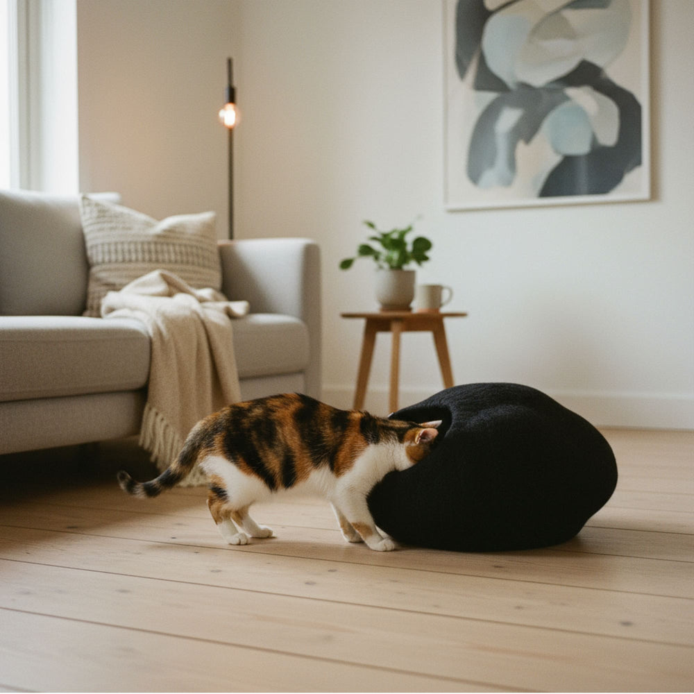 PEBBLE felt cat cave in black in a bright living room, a calico cat pokes its head into the entrance