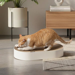 SCRATCHBED - Panier en carton