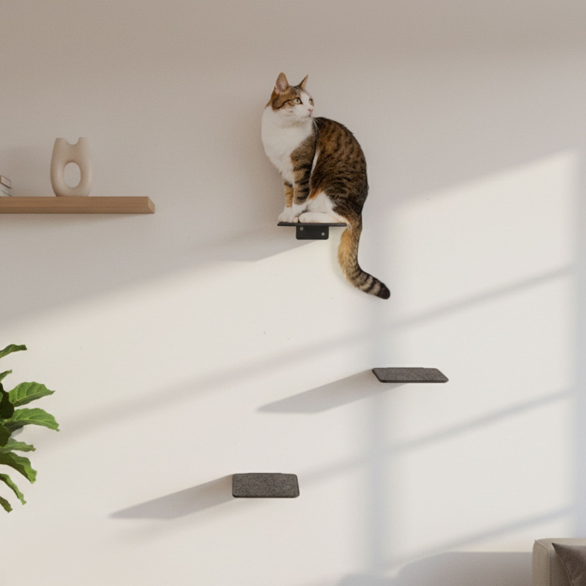 STEPS Mur d'escalade