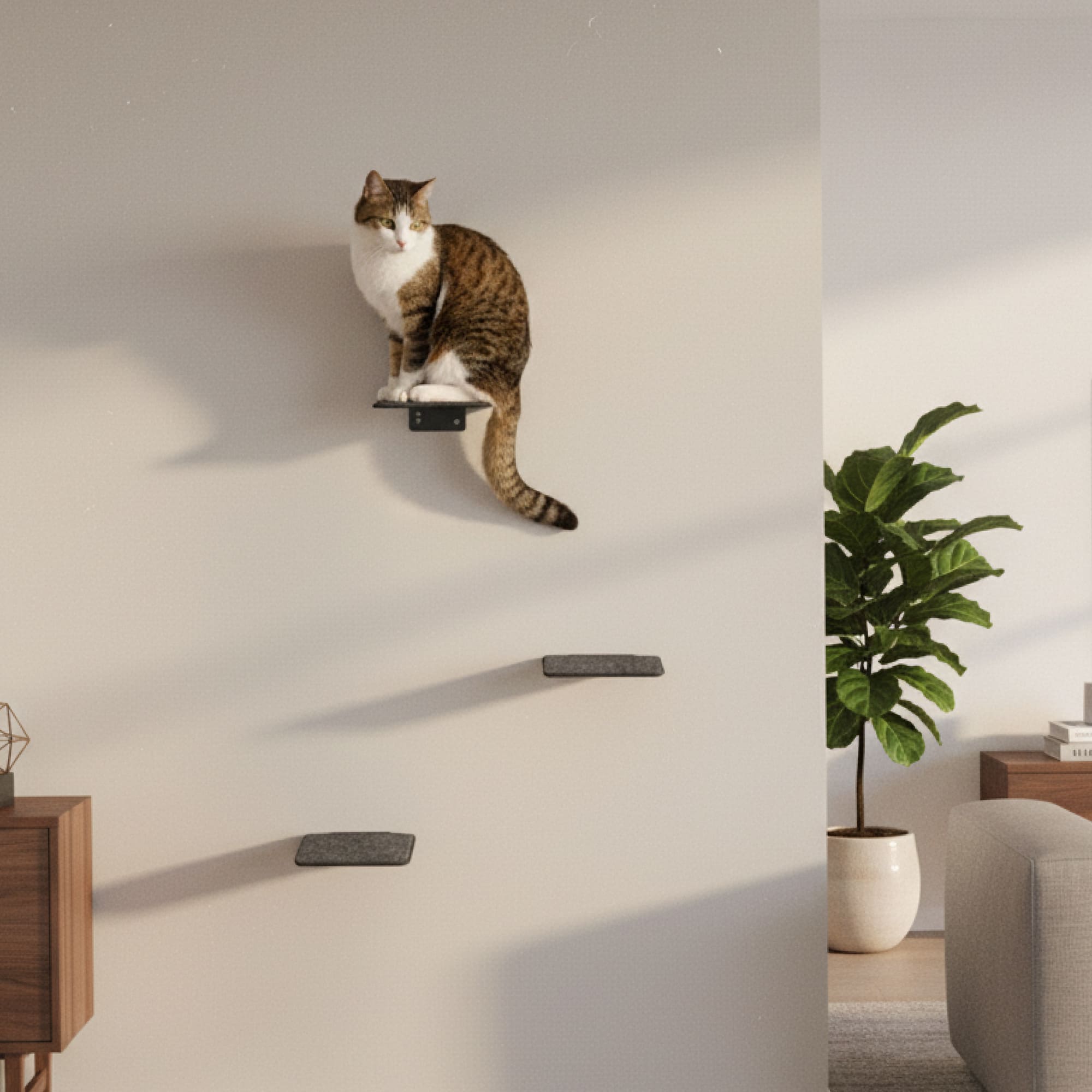 STEPS Mur d'escalade