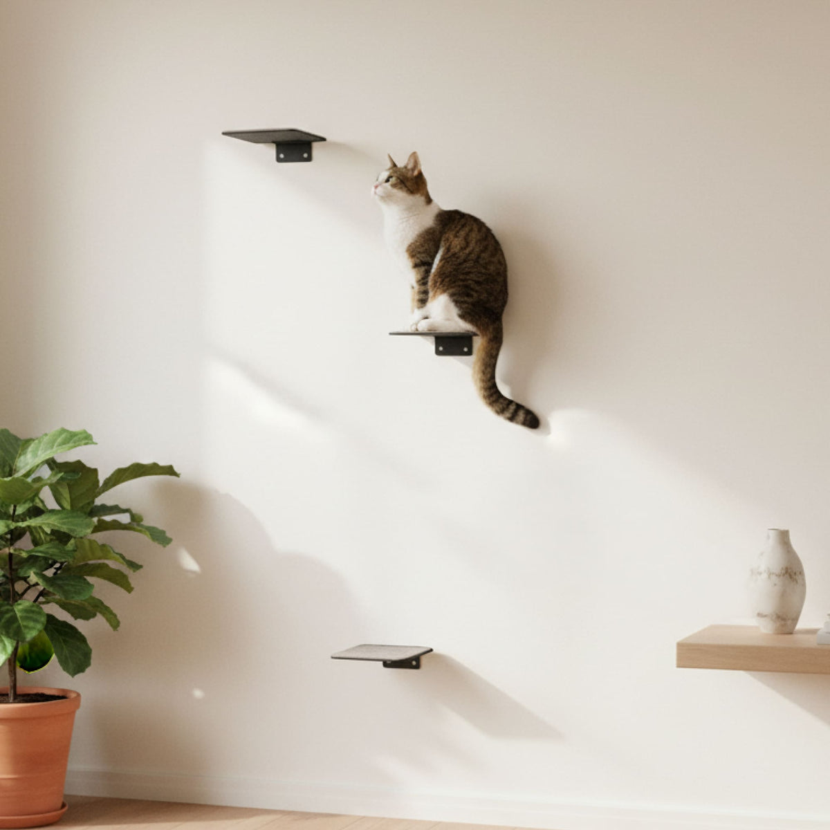 STEPS Mur d'escalade