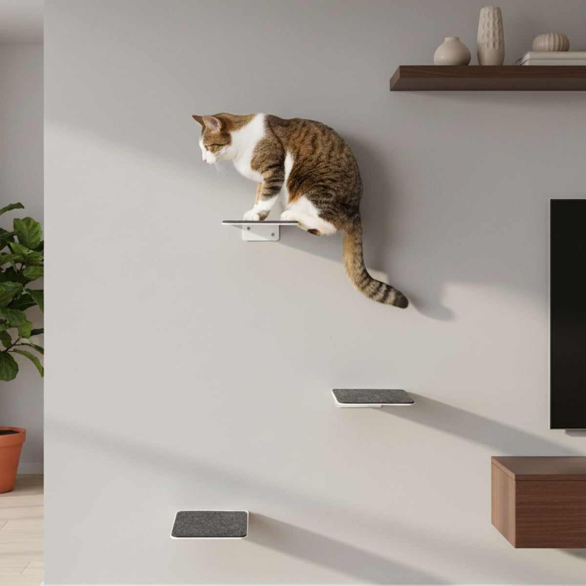 STEPS Mur d'escalade