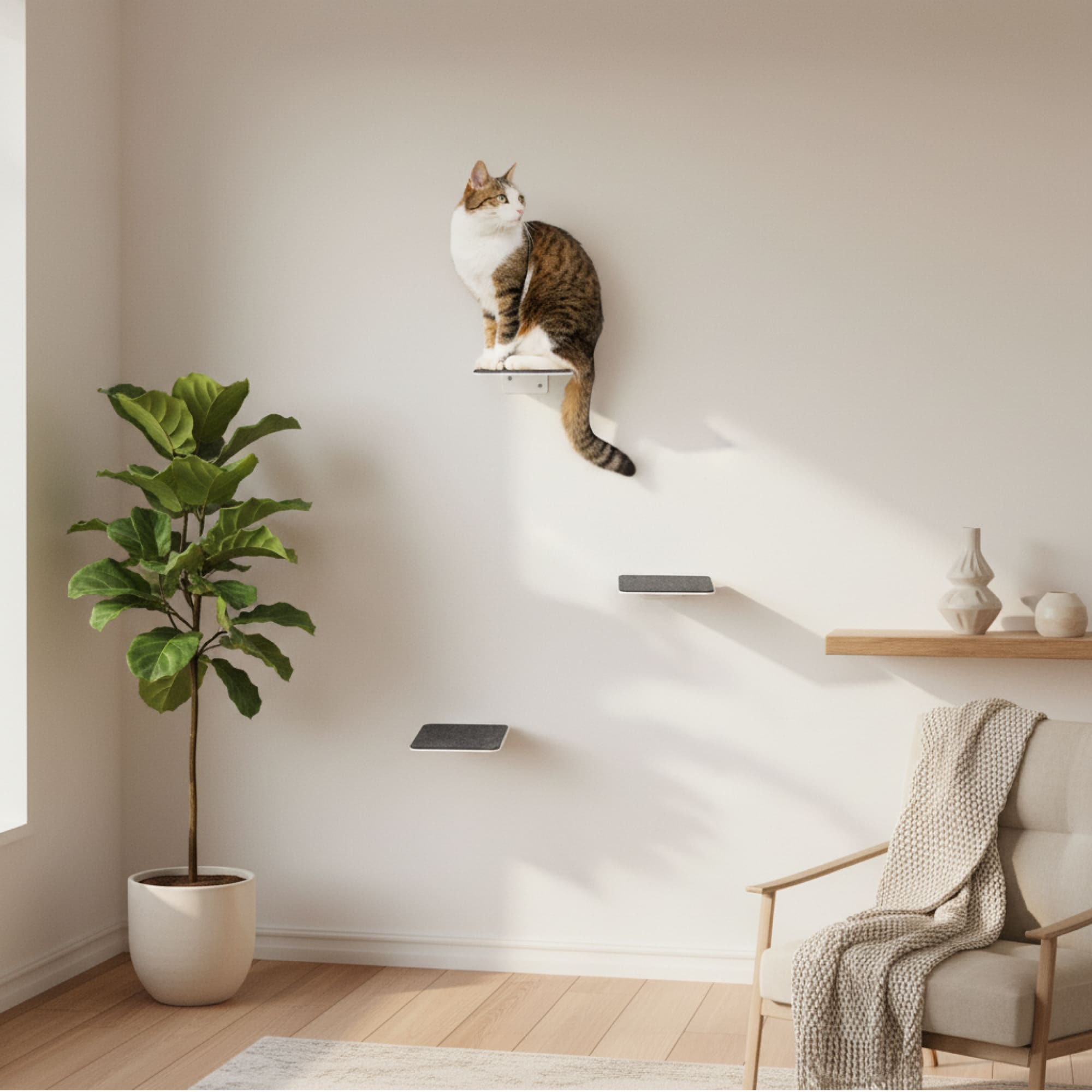 STEPS Mur d'escalade