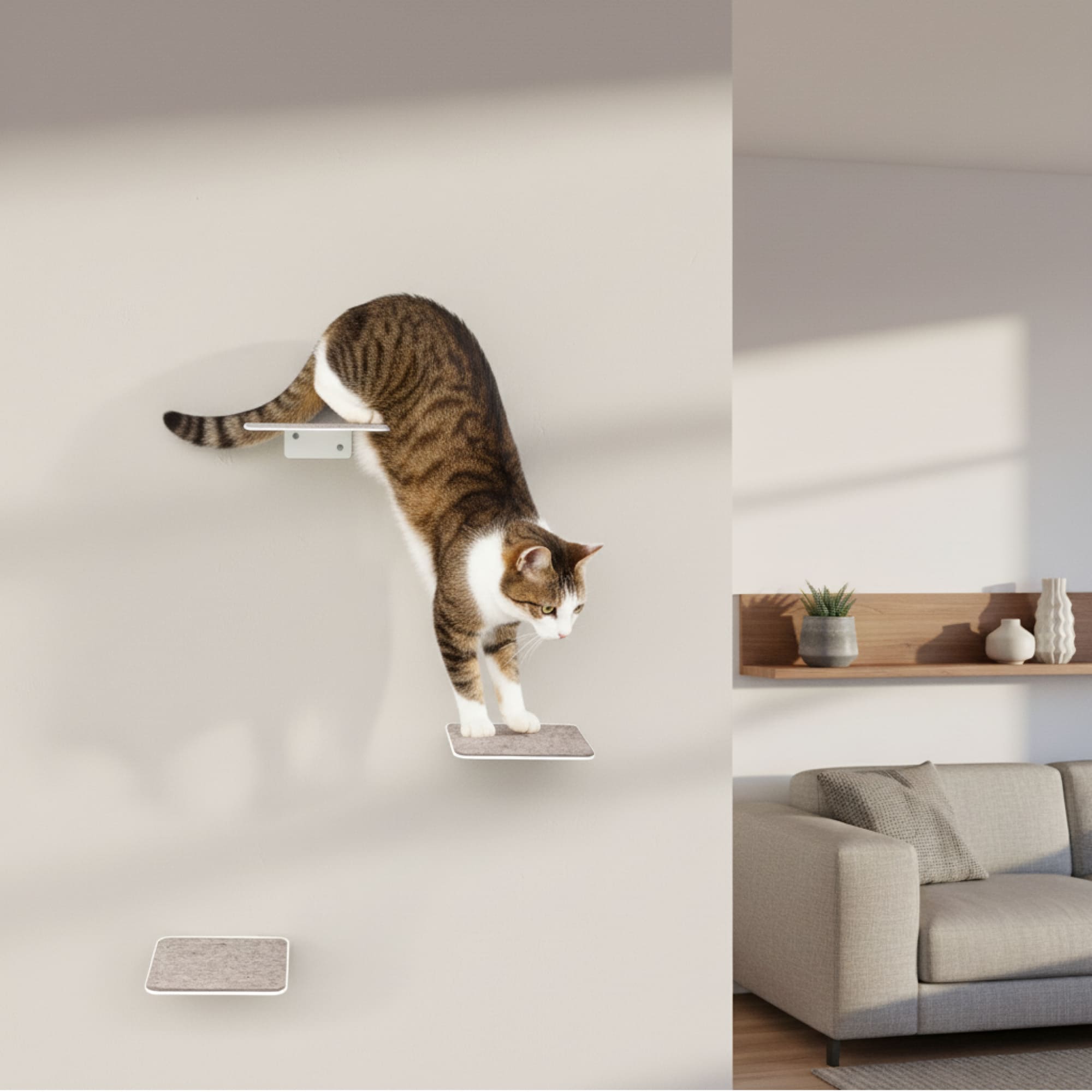 STEPS Mur d'escalade