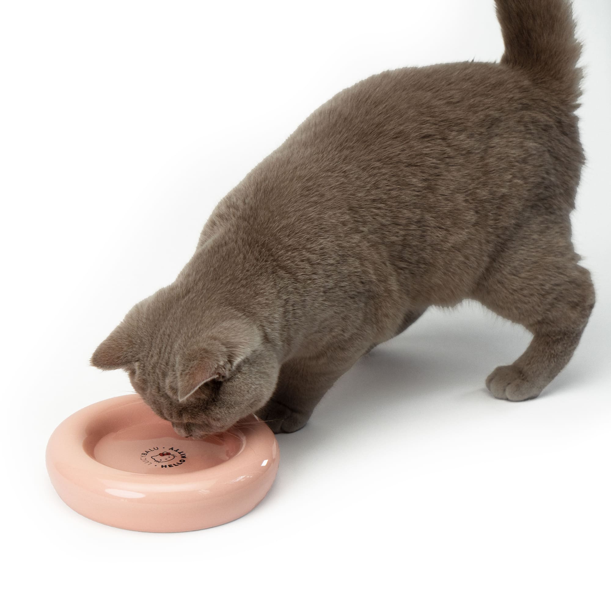 Katzennapf aus Porzellan - Hello Kitty Edition von LucyBalu