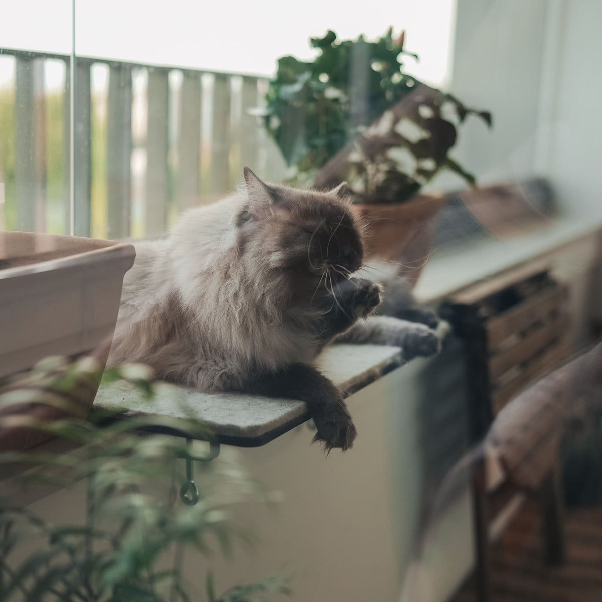 VIEW Banc de fenêtre pour chats avec revêtement en feutre