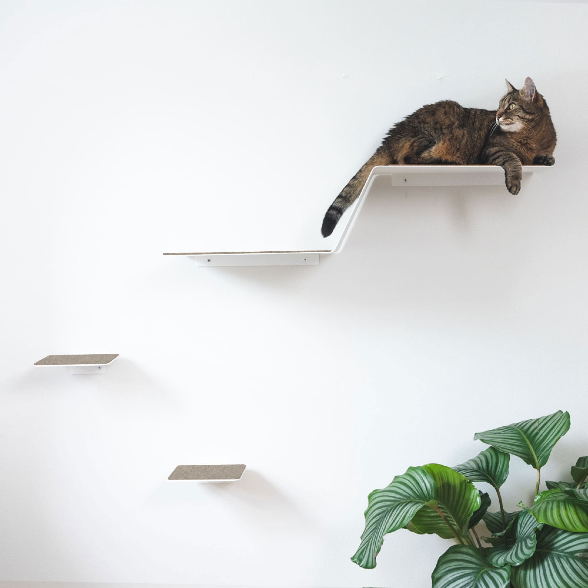 WAVE cat climbing step XXL