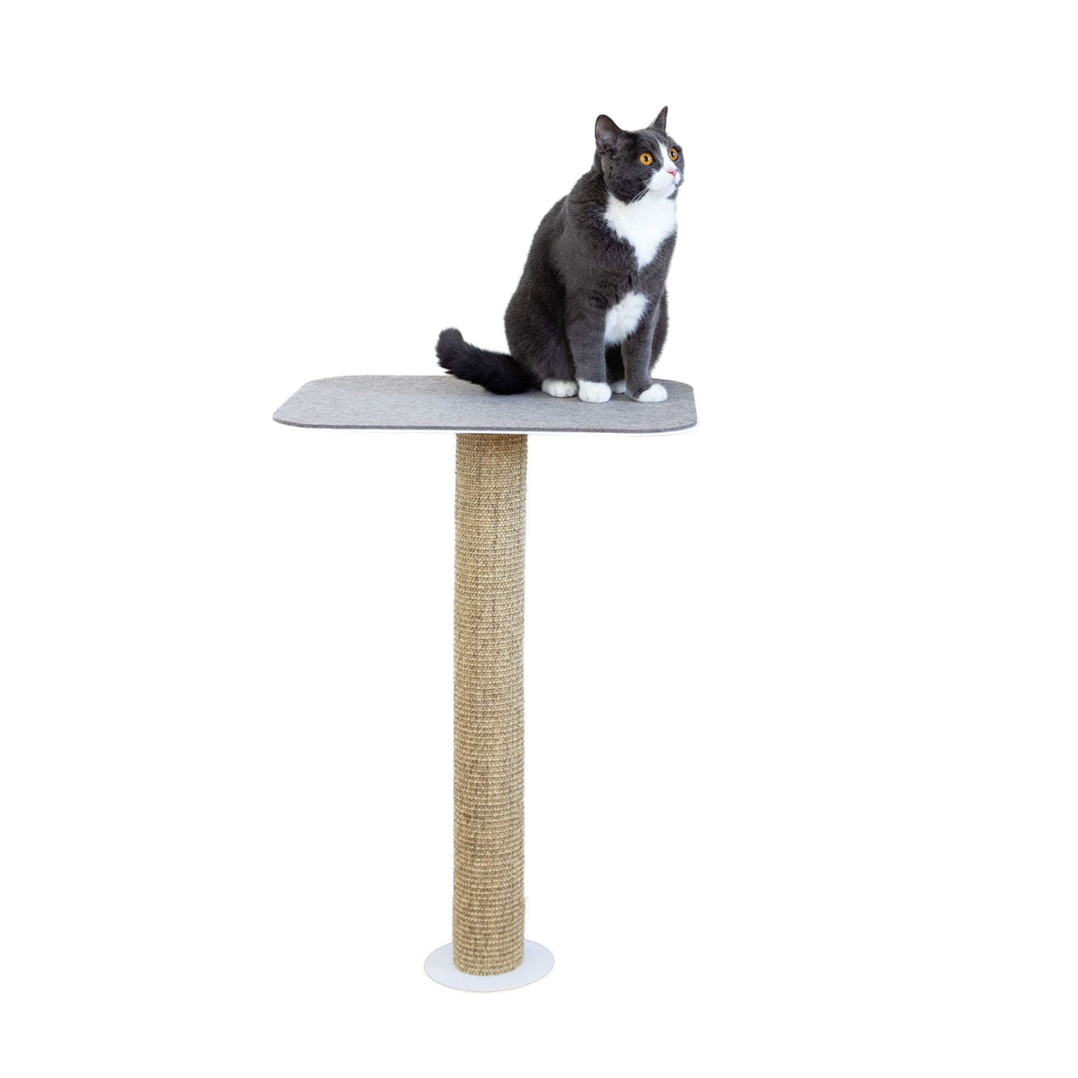 GALLERY Cat Scratching Tower