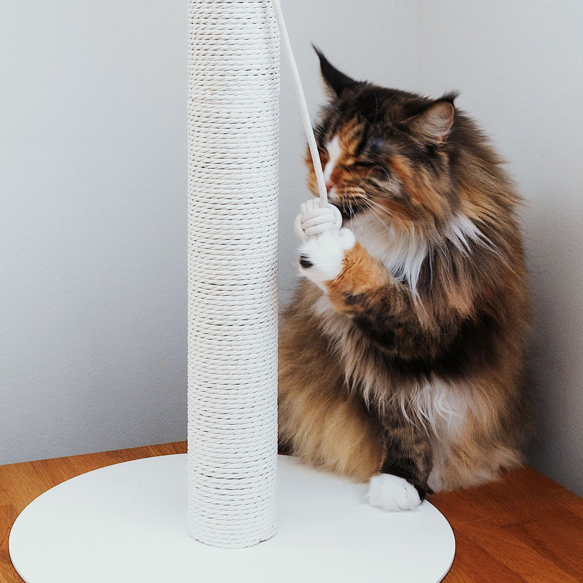 PAPERPOLE free-standing scratching post