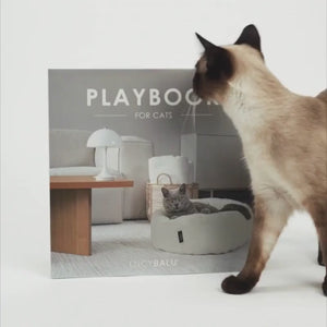 PLAYBOOK Jouet interactif