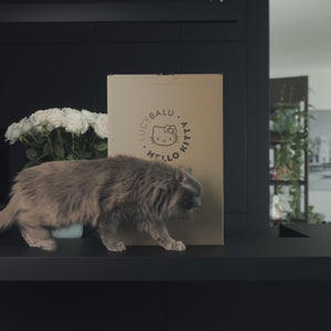 HOP-ON Katzenrucksack - Hello Kitty Edition