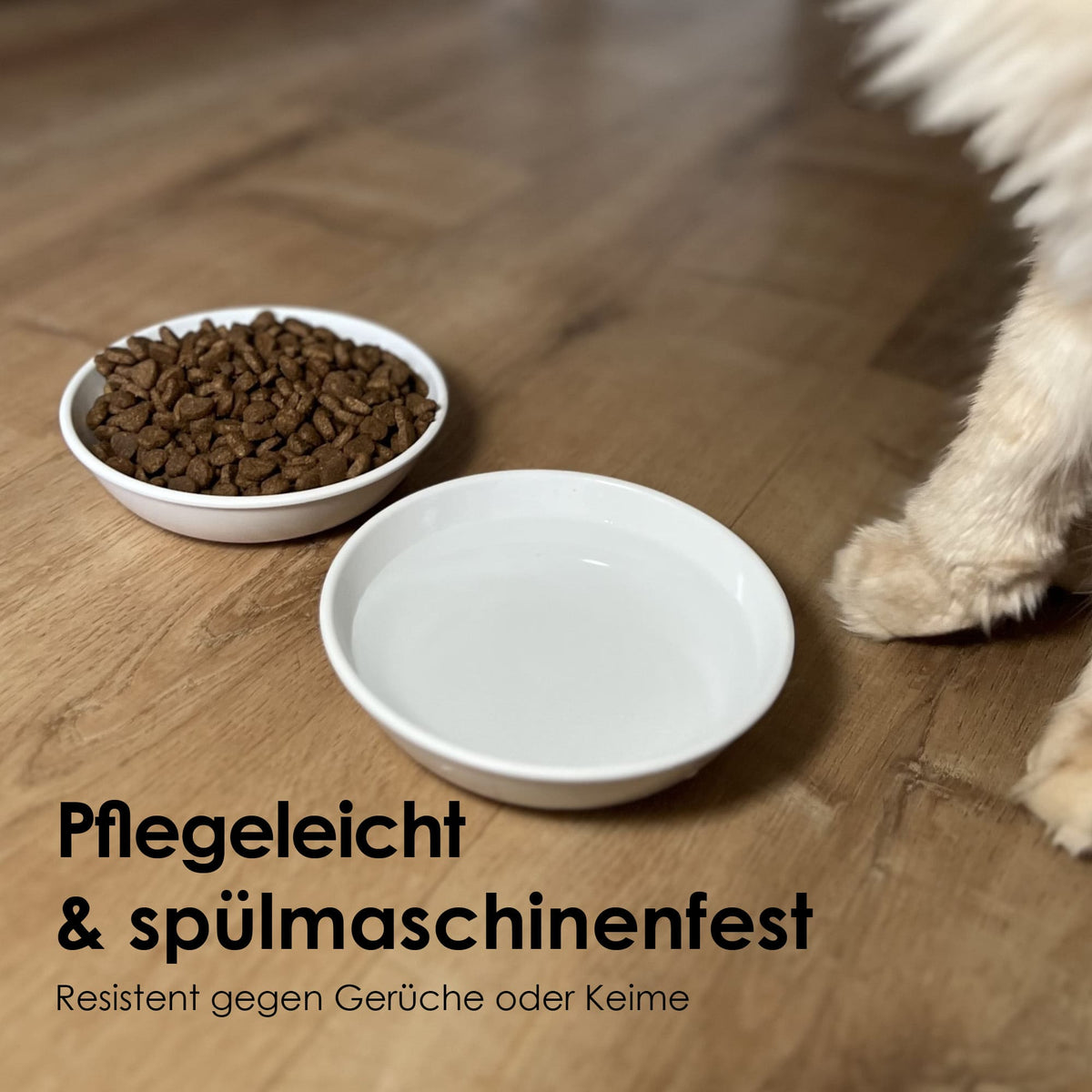 BOWL Melamine Kattenbakje | Set van 2