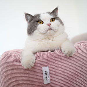 Hello Kitty Katzenbett