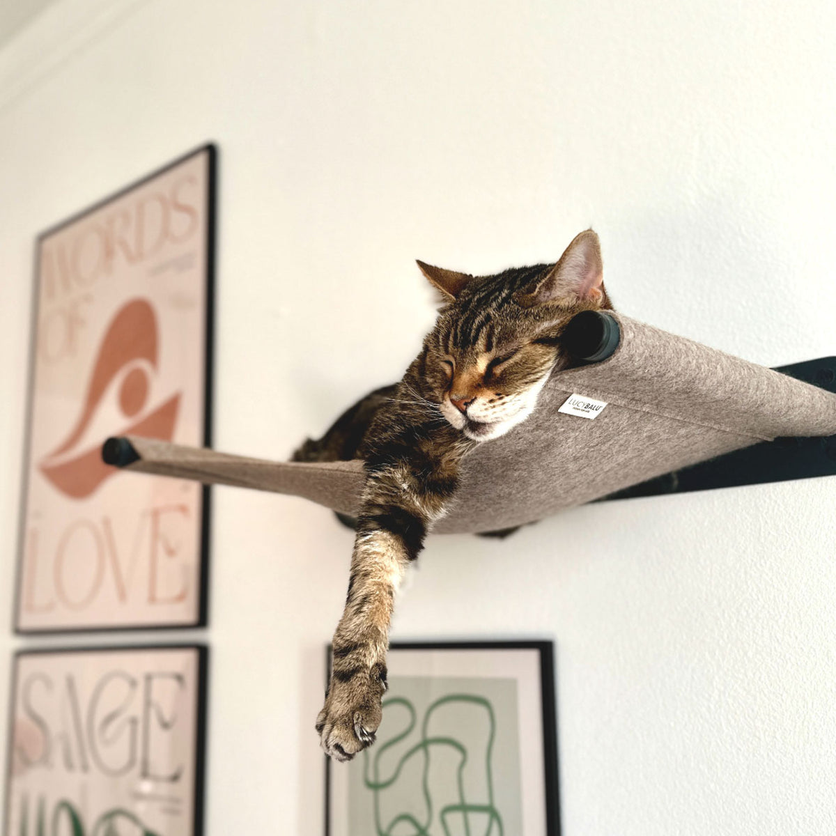 hängematte für die wand LucyBalu® Katzenhängematte