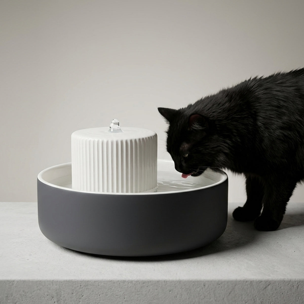 TREVI cat water fountain