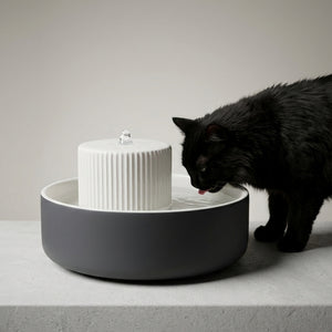 TREVI cat water fountain