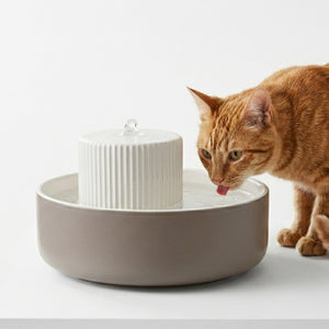 TREVI cat water fountain