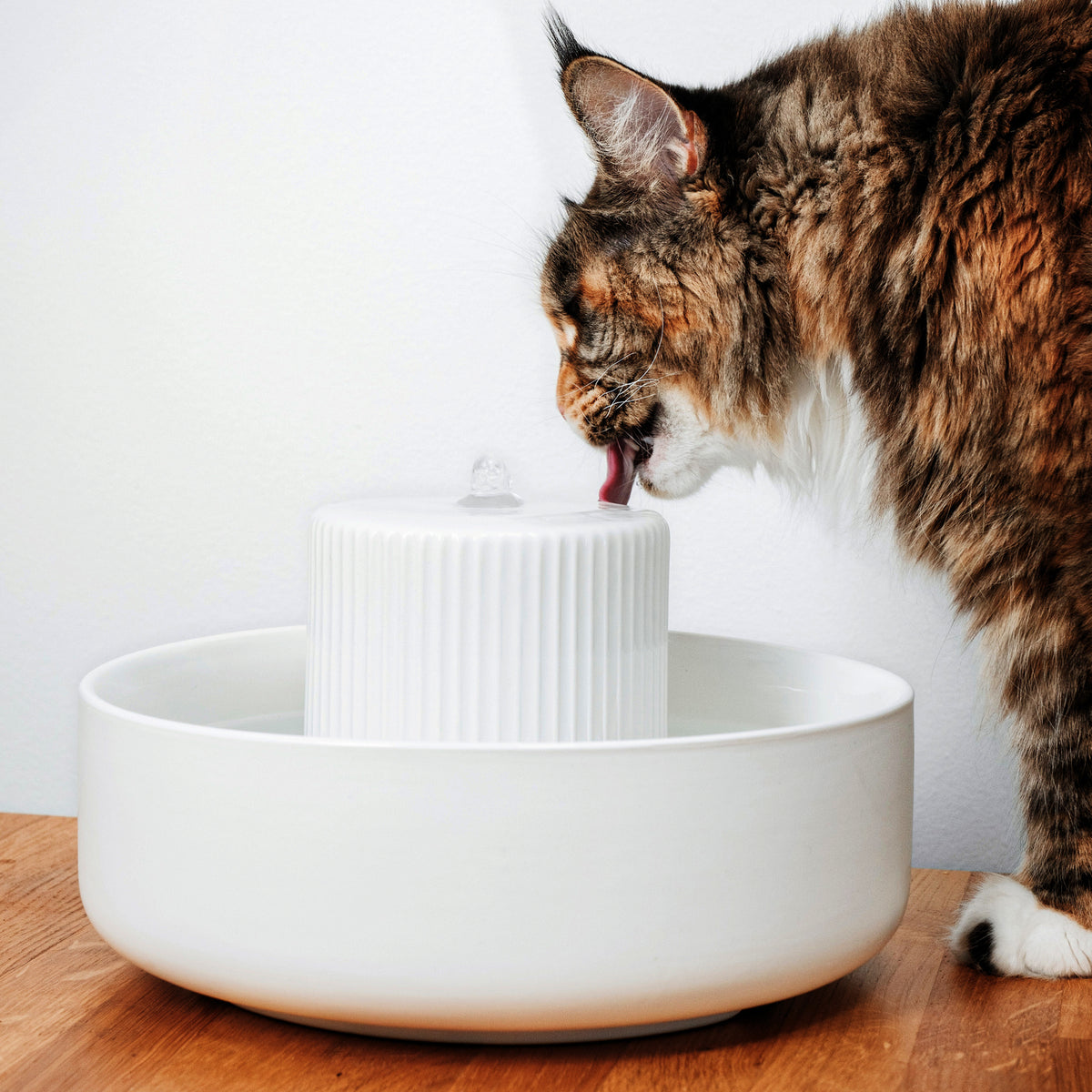Ceramic Cat Easy Clean Cat Water Fountain LucyBalu Drinking