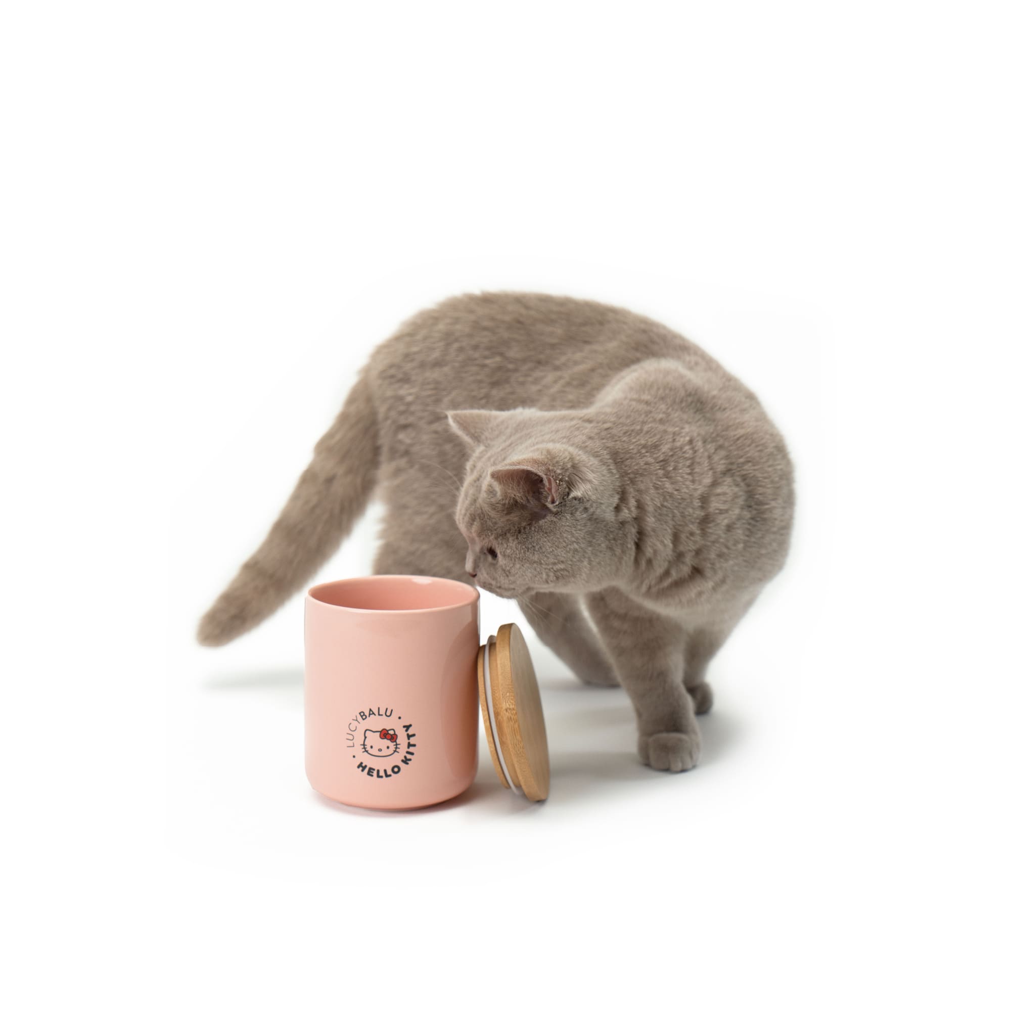 katzenspielzeug aufbewahrung Porcelain treat jar - Hello Kitty Edition