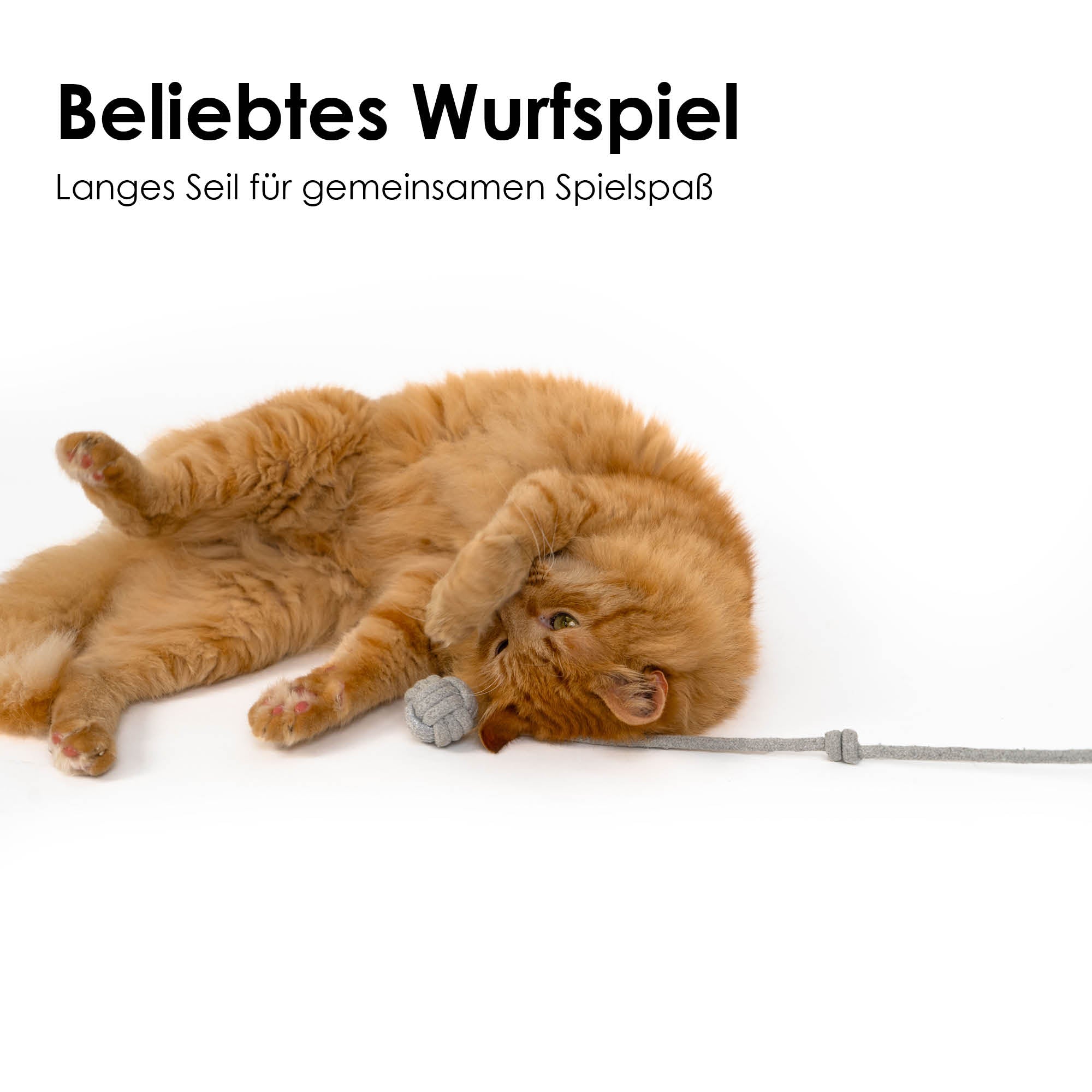 HONBAY Katzen-Federspielzeug – 4 Stück, Dehnbar, Bunte Farben, Für Aktive Katzen