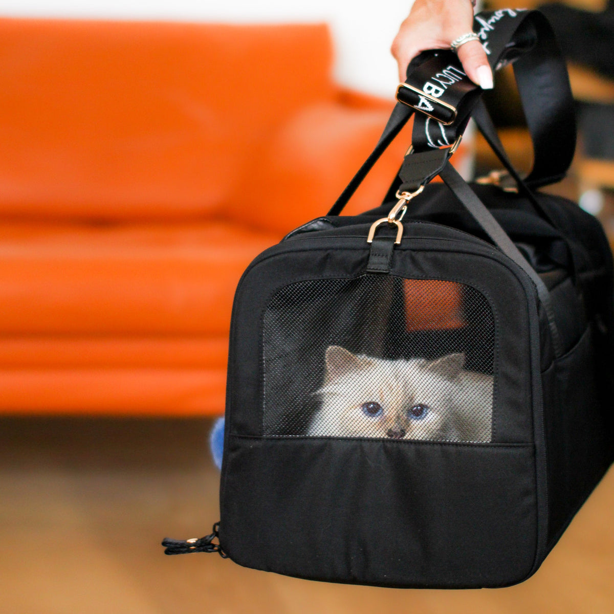Sac de transport pour chats CHECK-IN Choupette Edition LucyBalu